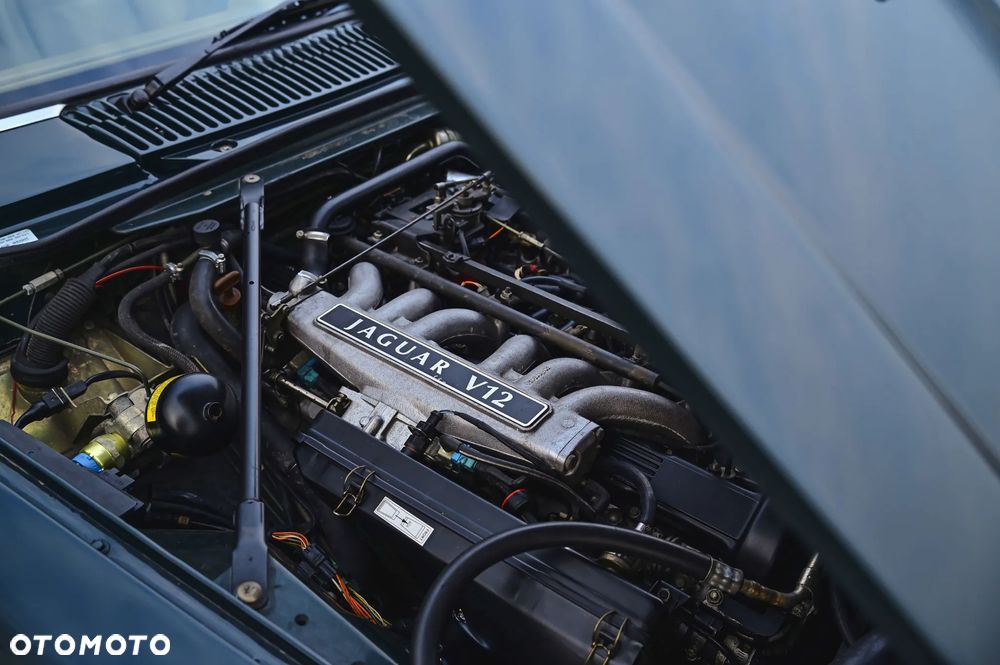 Jaguar XJS - 20