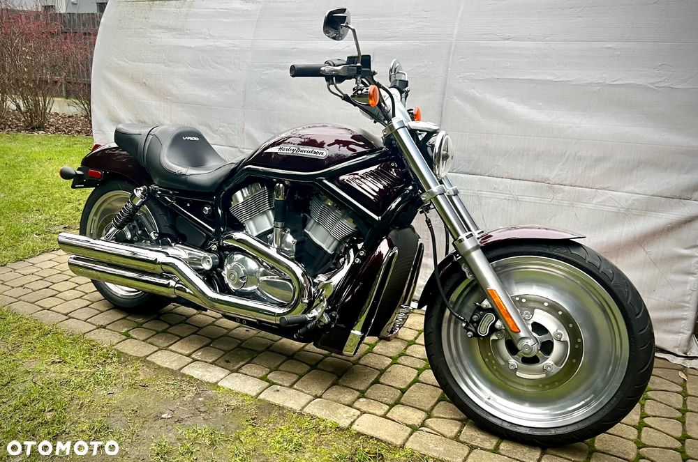 Harley-Davidson V-Rod Street Rod - 4