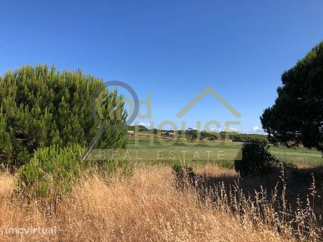 Vende-se terreno com 29.5 ha - Grande imagem: 5/11