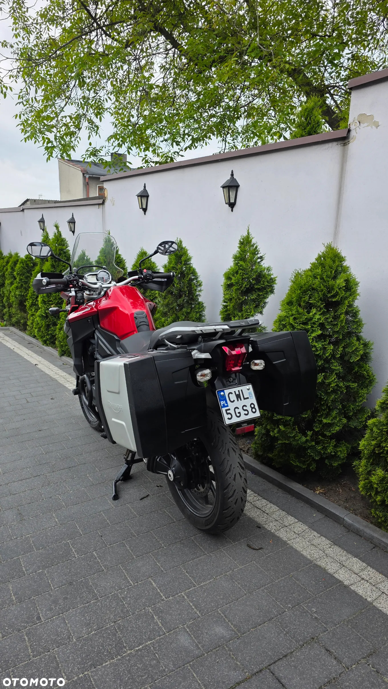 Triumph Tiger - 9