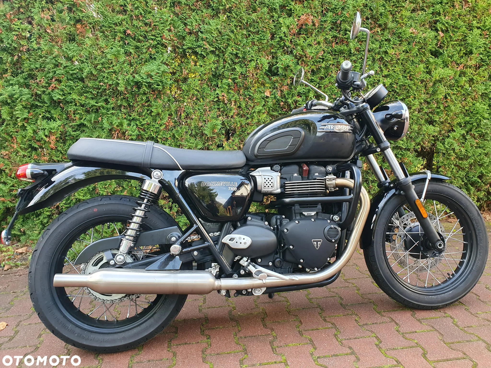 Triumph Bonneville - 7
