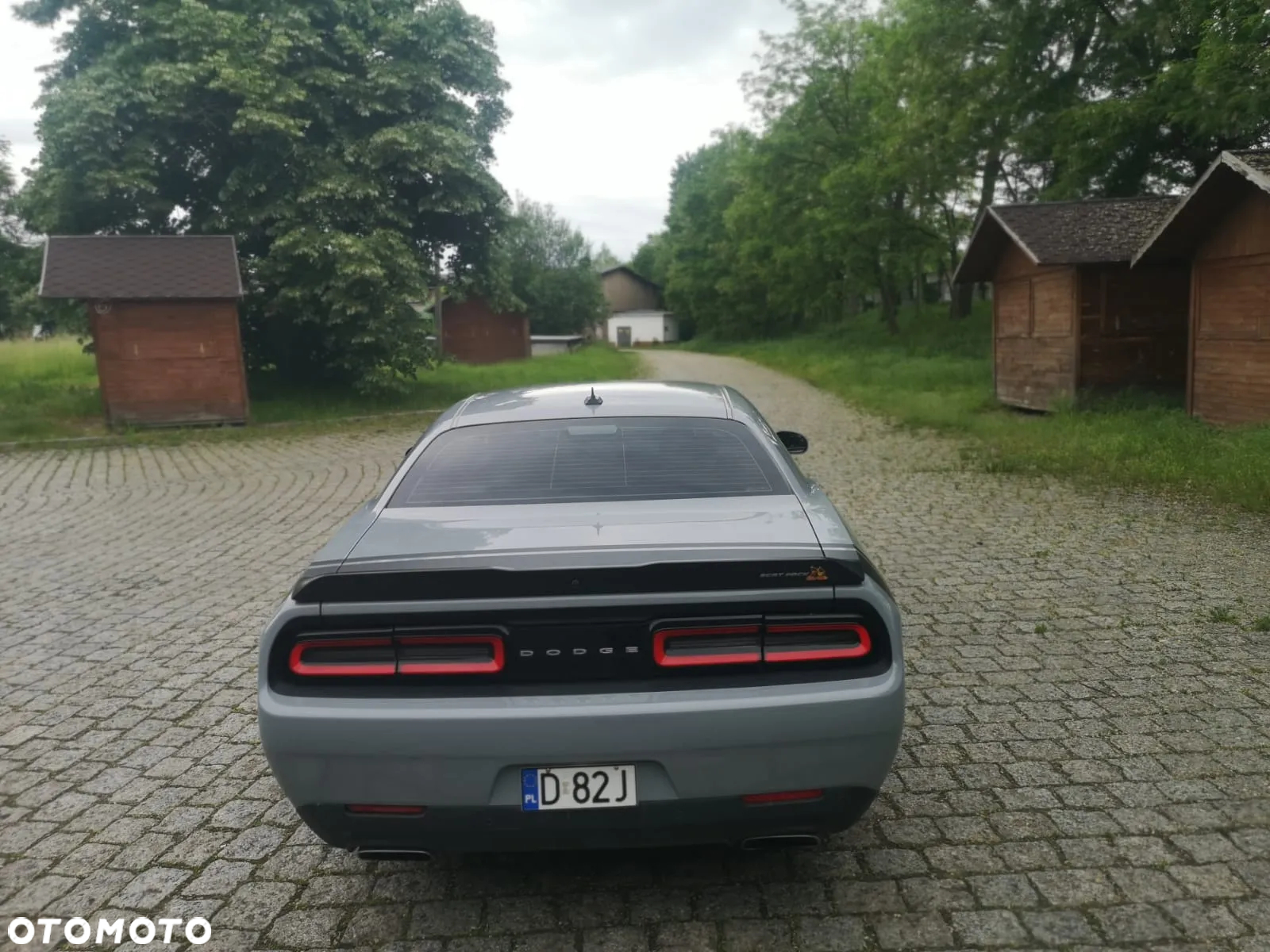 Dodge Challenger - 31