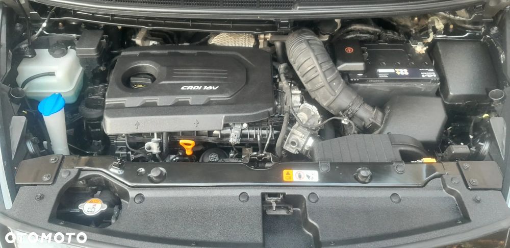 Kia Carens 1.7 CRDi 115 Fifa World Cup Edition - 32