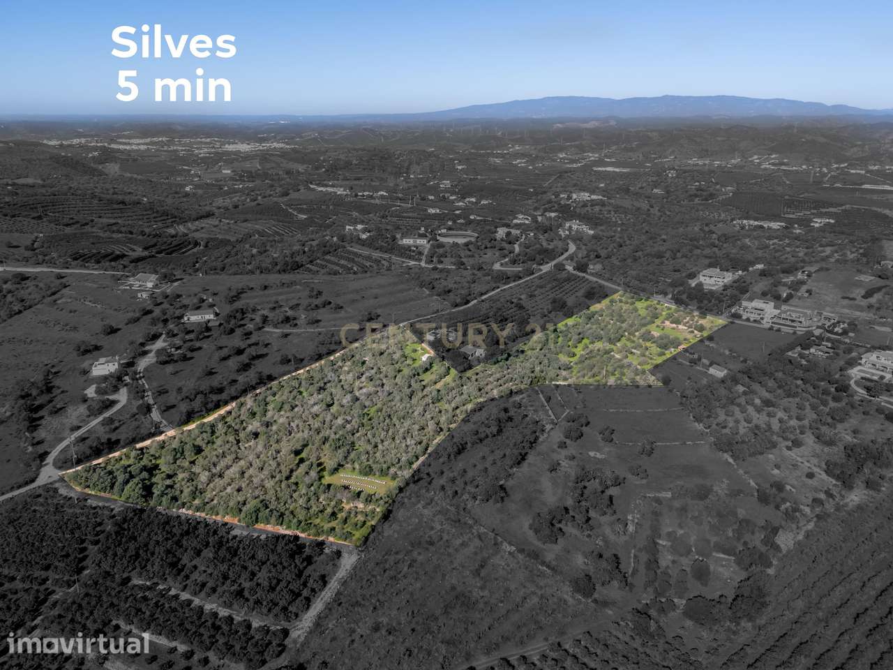 3 Terrenos Rústicos com 3,25 ha – Torre e Cercas, Silves - Grande imagem: 5/12