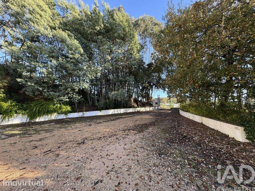 Casa / Villa T3 em Carregueiros de 320,00 m2 - Grande imagem: 2/28
