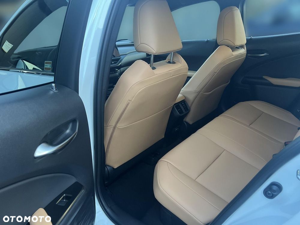 Lexus UX 300h F Sport Design - 18