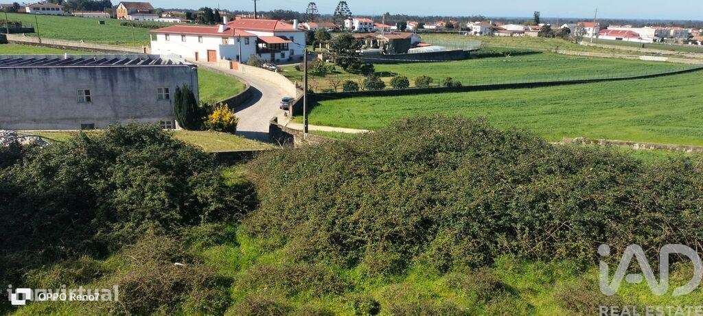 Terreno Agrícola em Guilhabreu - Grande imagem: 2/33