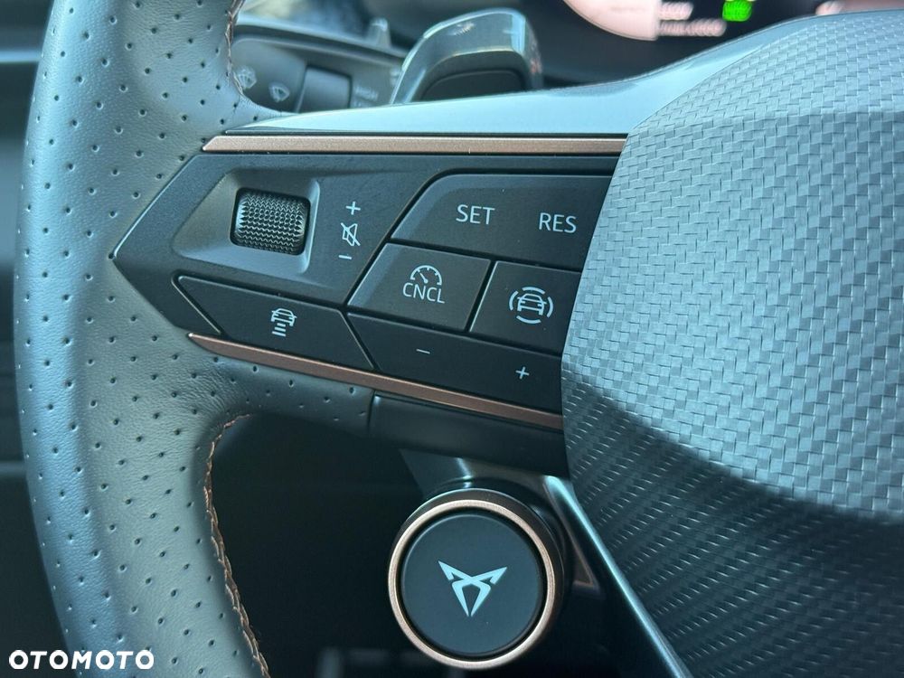 Cupra Terramar 1.5 eTSI mHEV DSG - 25