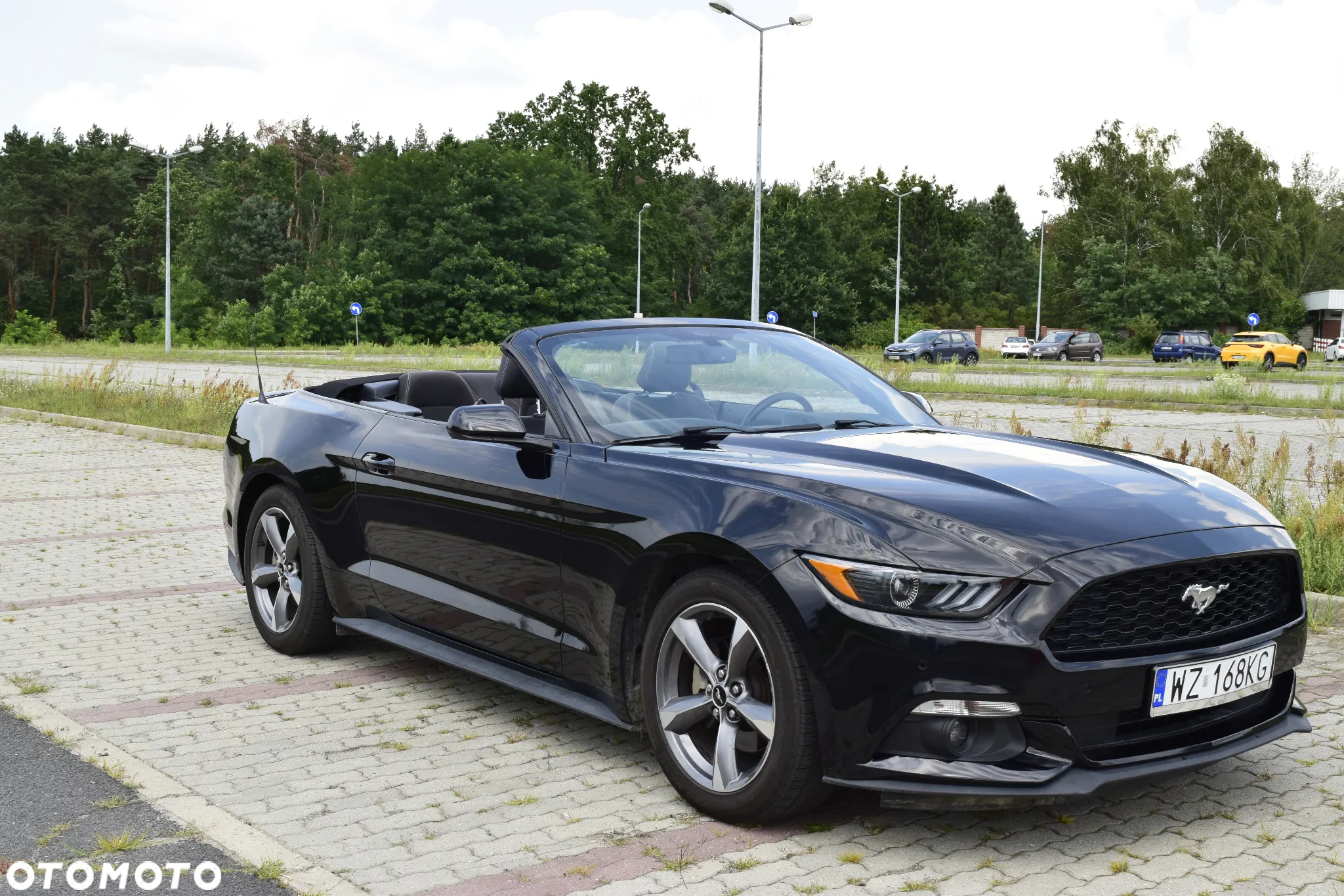Ford Mustang 3.7 V6 - 3
