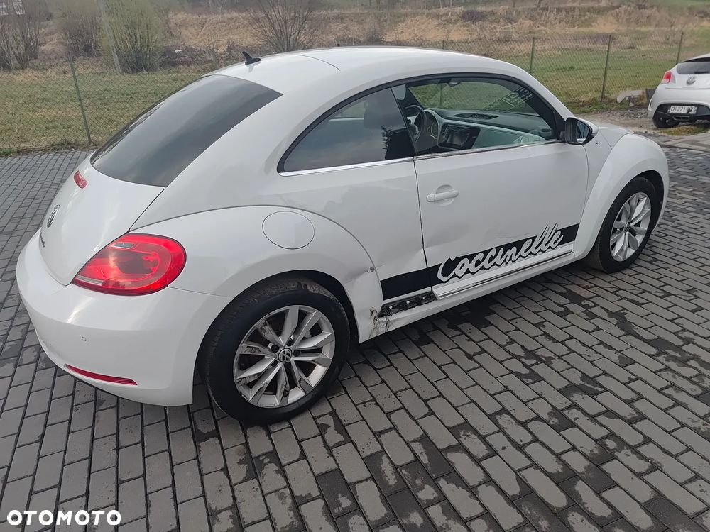 Volkswagen Beetle - 18