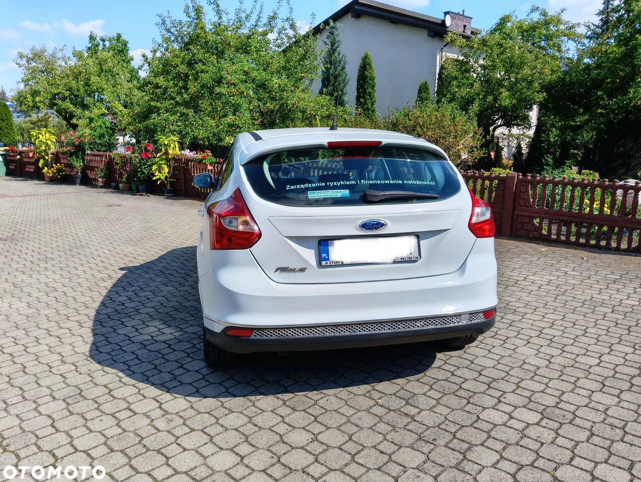 Ford Focus - 1