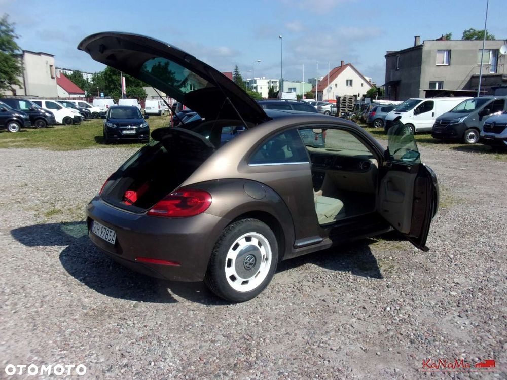 Volkswagen Beetle - 30