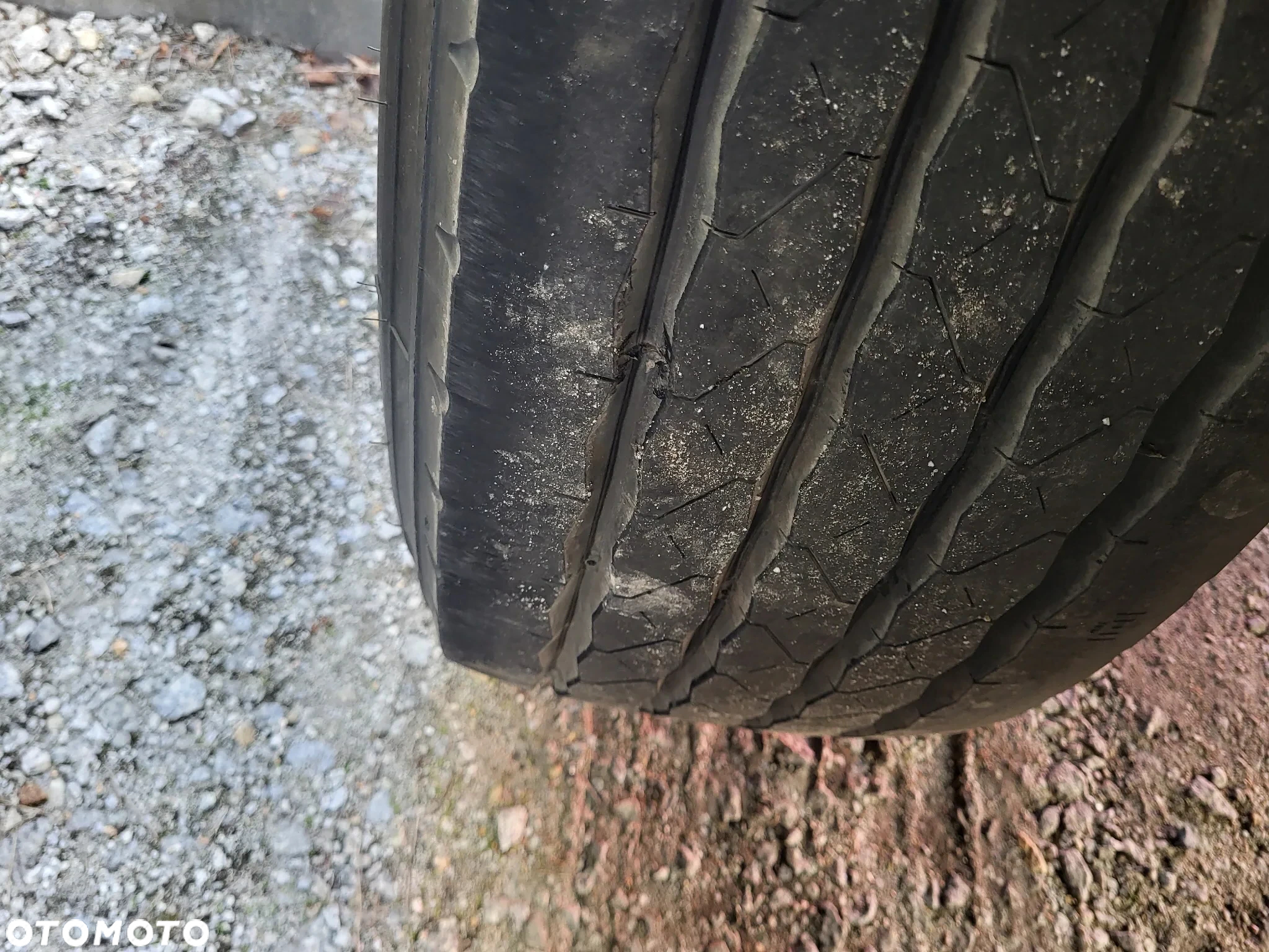 Krone Chłodnia, Vectror 1550, Oś Podnoszona - 12