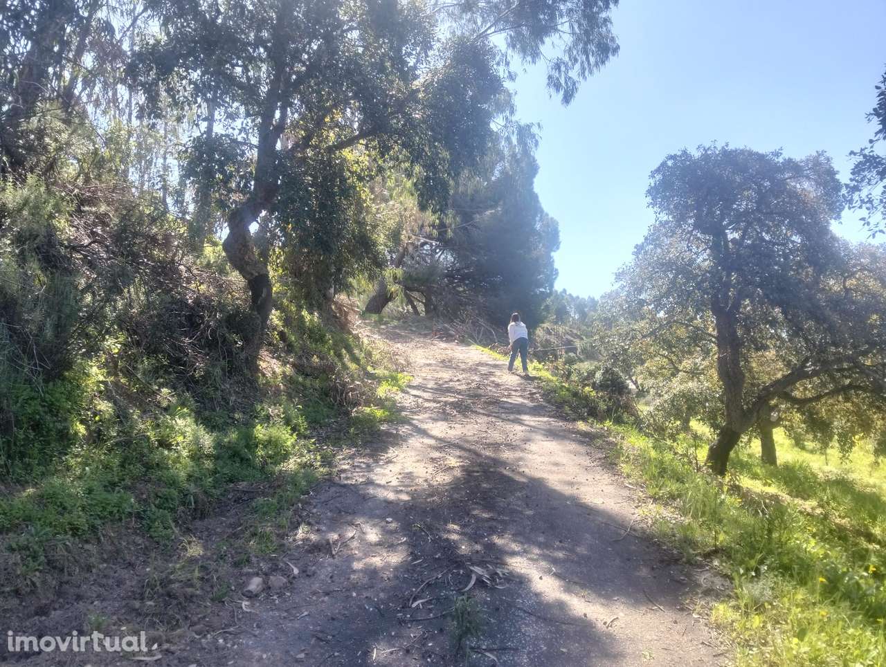 Moradia T4 para remodelação completa, Corte Cibrão de Baixo -Marmelete - Grande imagem: 5/8