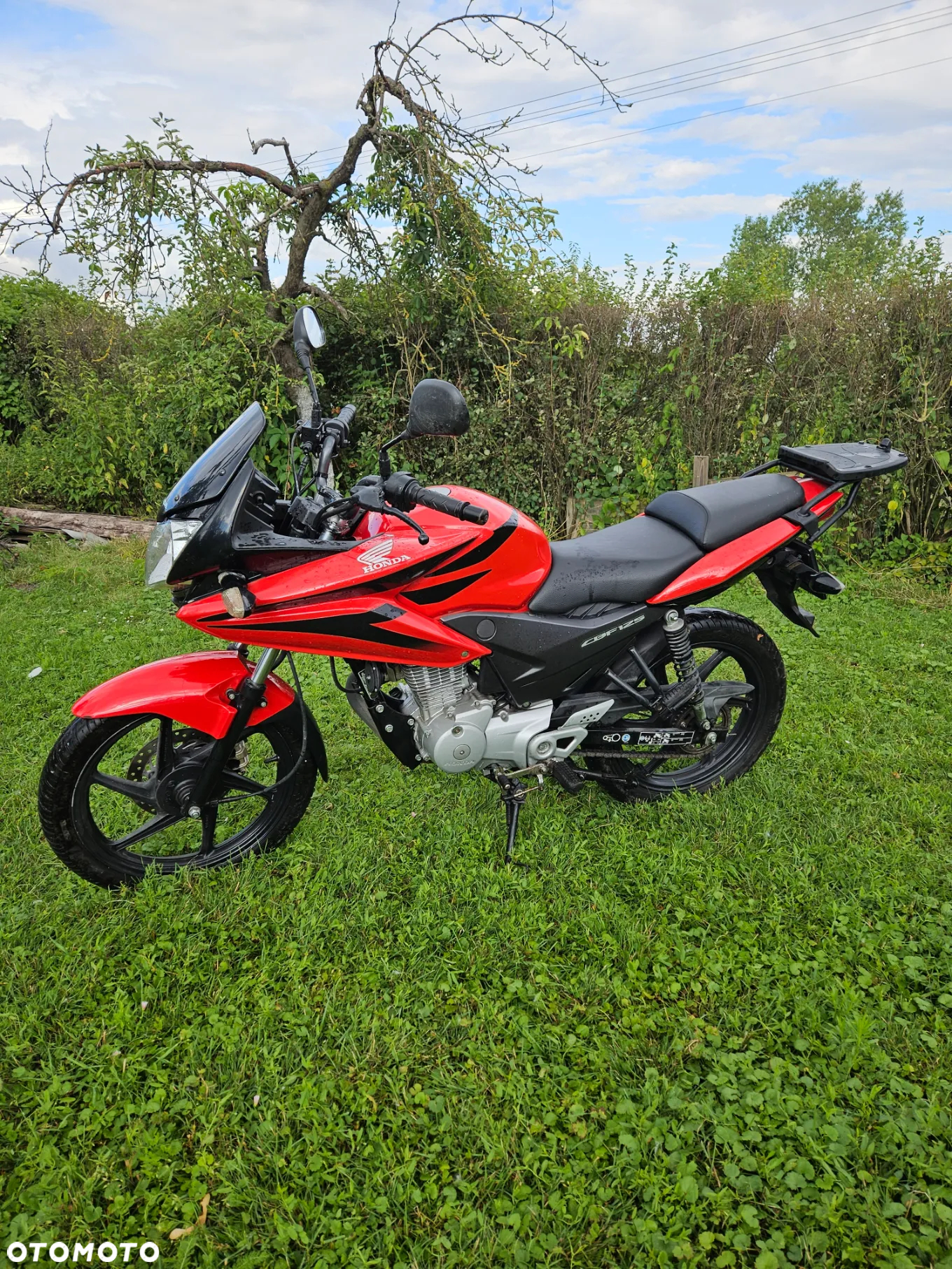 Honda CBF - 2