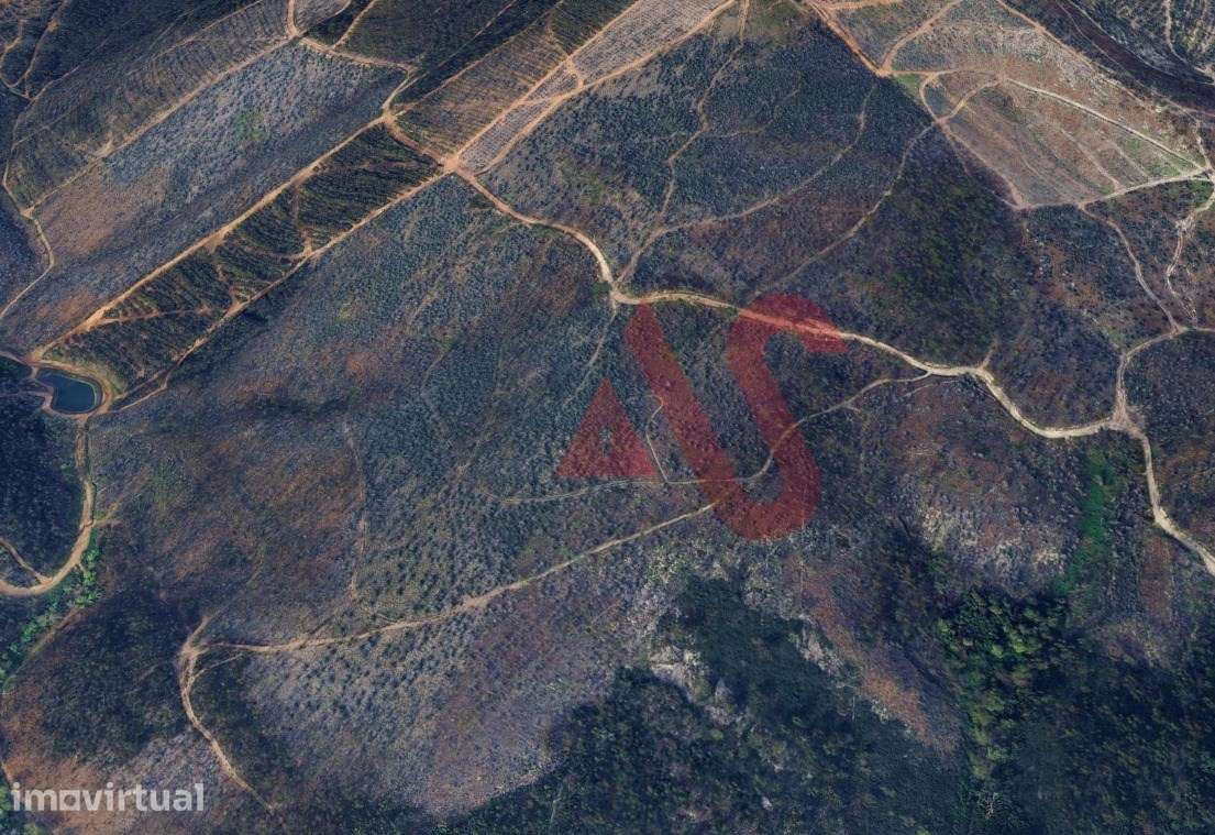 Terreno Florestal com 9400m2 em Silvares, Lousada - Grande imagem: 2/2