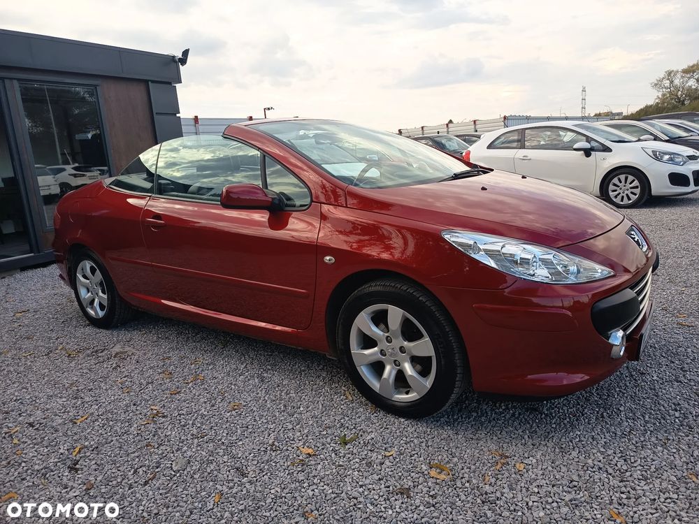 Peugeot 307 CC 110 Filou - 38
