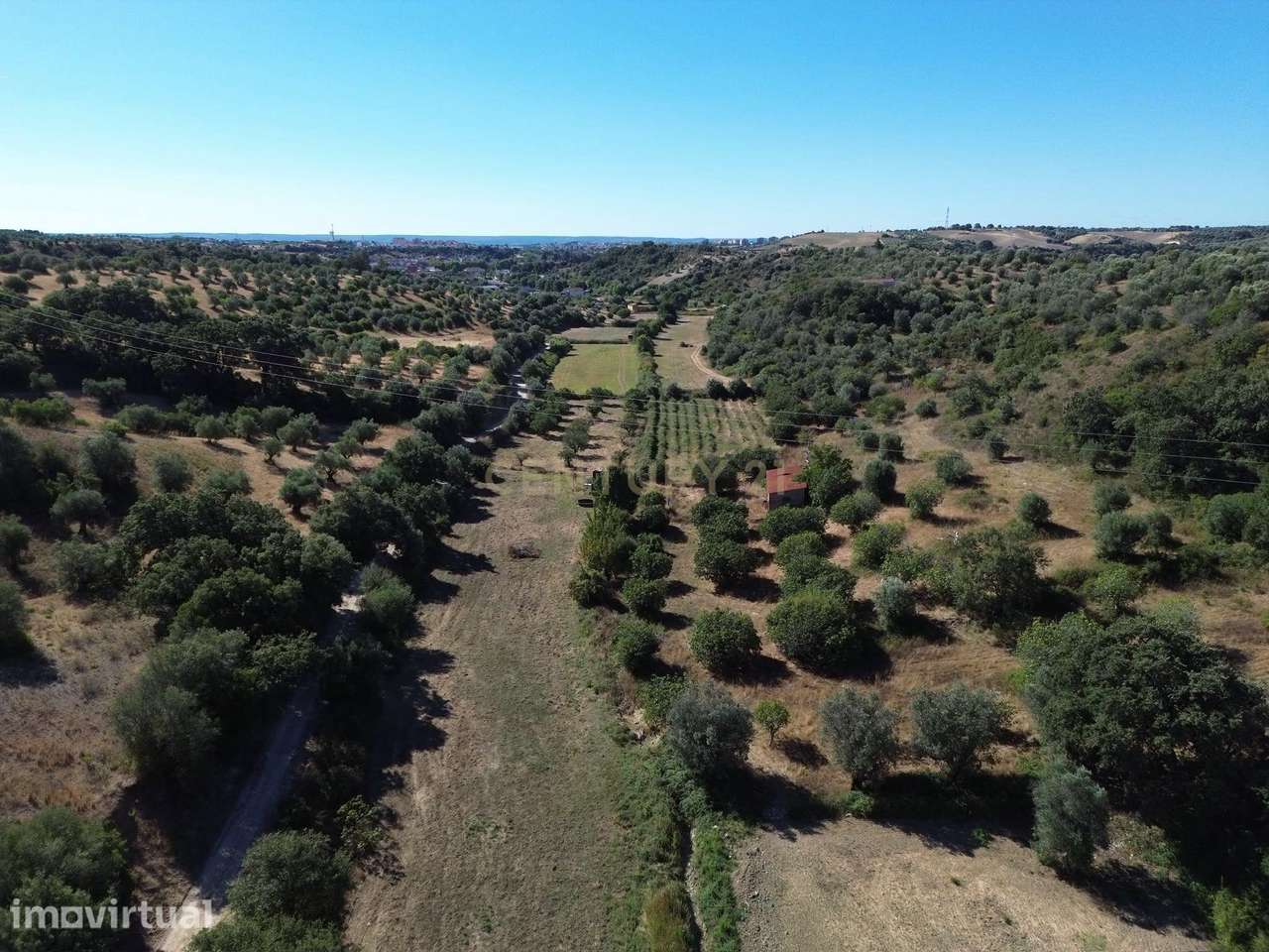 Terreno Rústico com 29.880 m² nas Lapas, Torres Novas - Grande imagem: 5/14