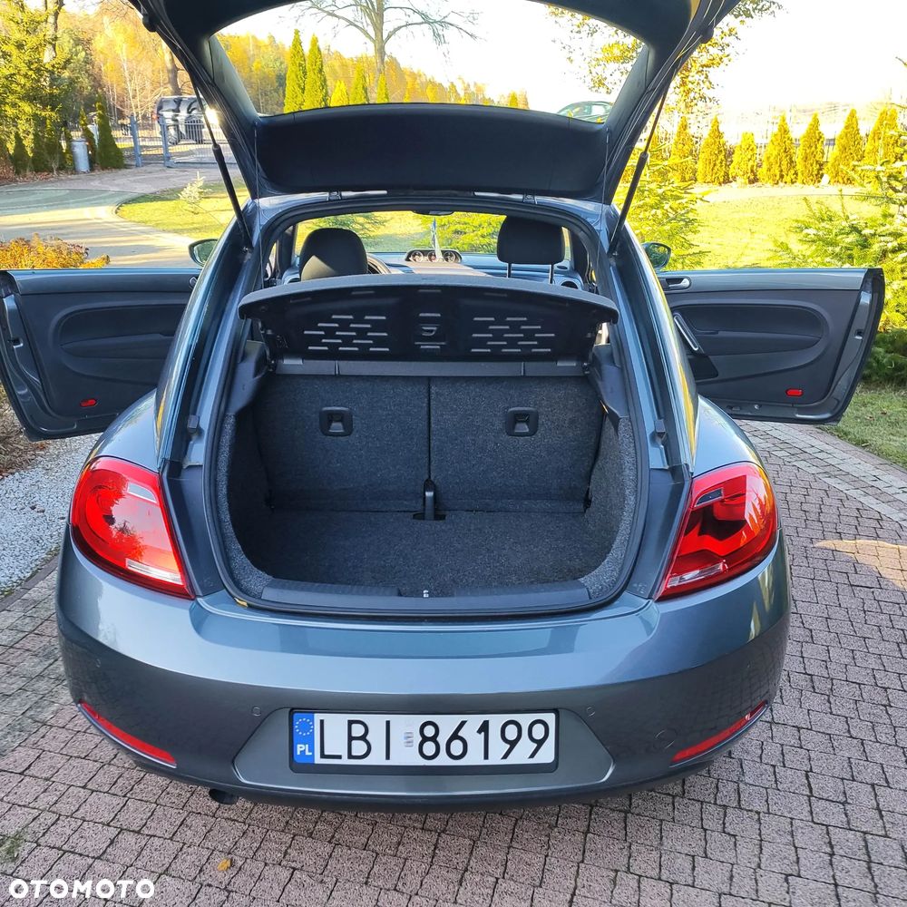 Volkswagen Beetle - 14
