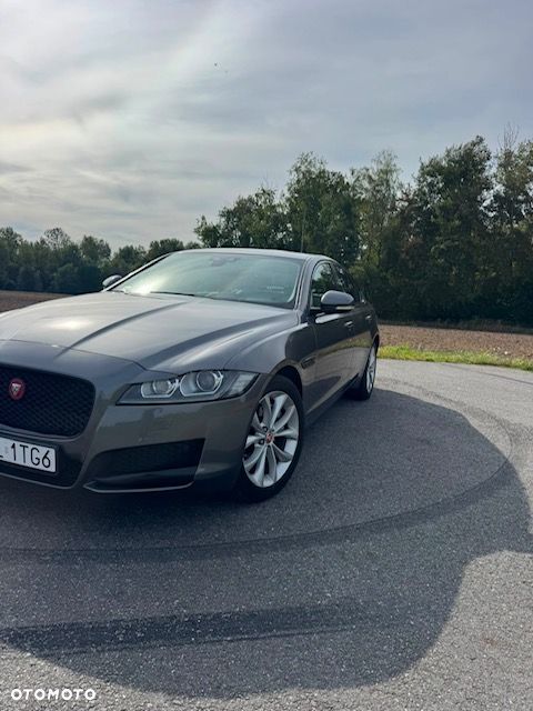 Jaguar XF - 3