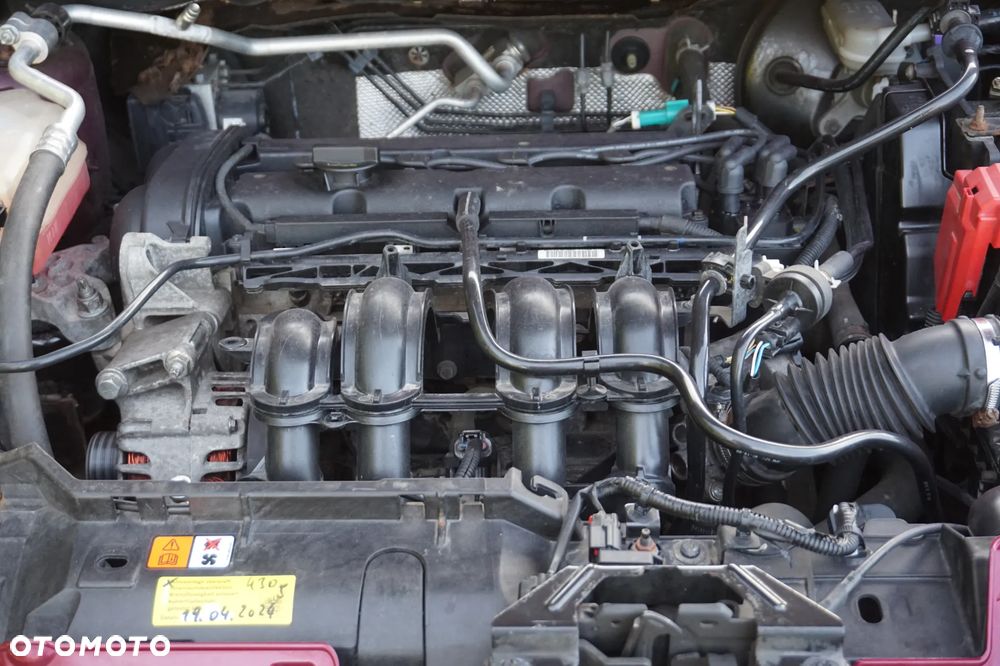 Ford Fiesta 1.25 Ghia - 22