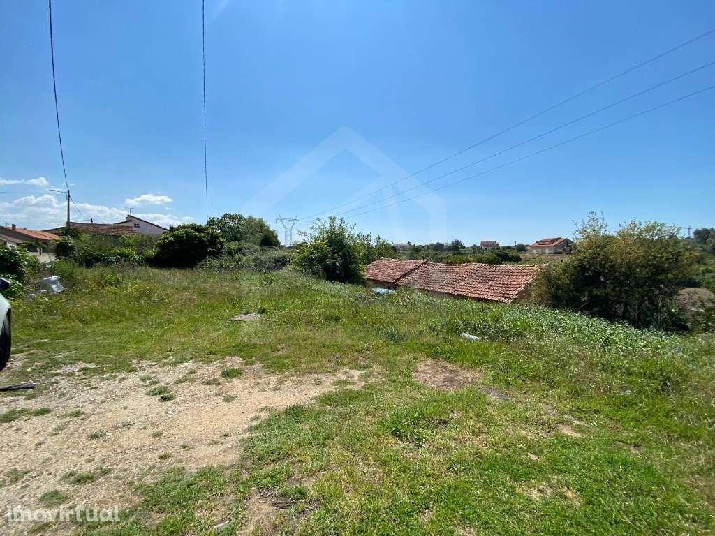 Terreno Rústico em Anadia - Grande imagem: 3/9