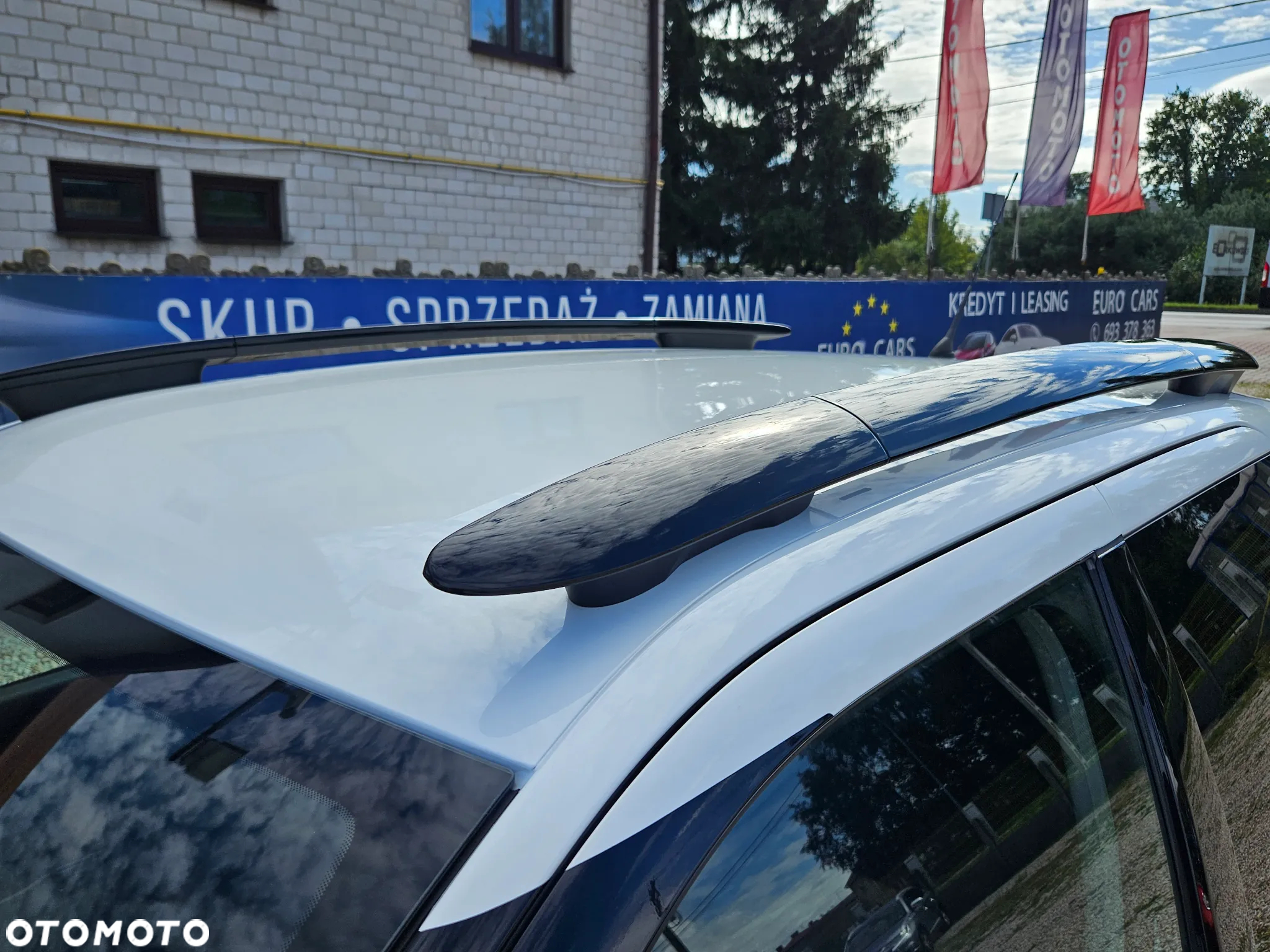 Citroën C4 Cactus 1.2 PureTech Shine EU6 - 12