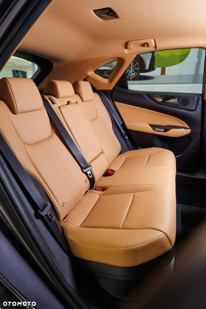 Lexus NX 350h Prestige AWD - 19