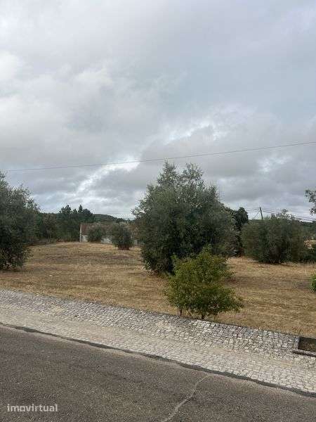 Vendo Terreno - Espinheiro Alcanena - Grande imagem: 2/3