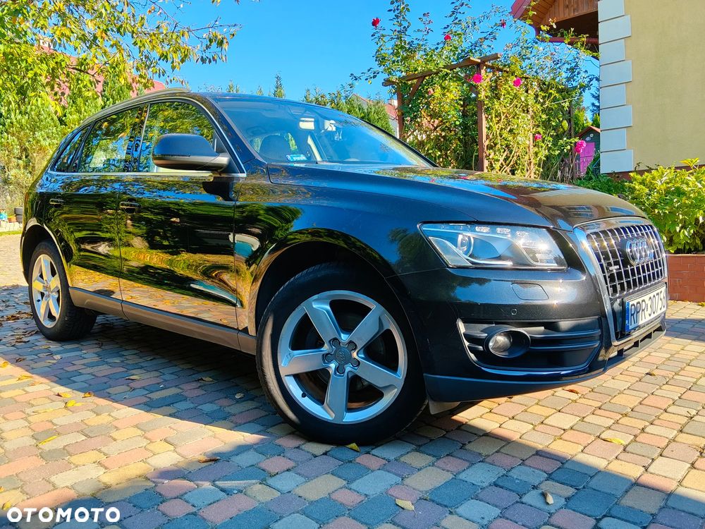 Audi Q5 2009 photo 3