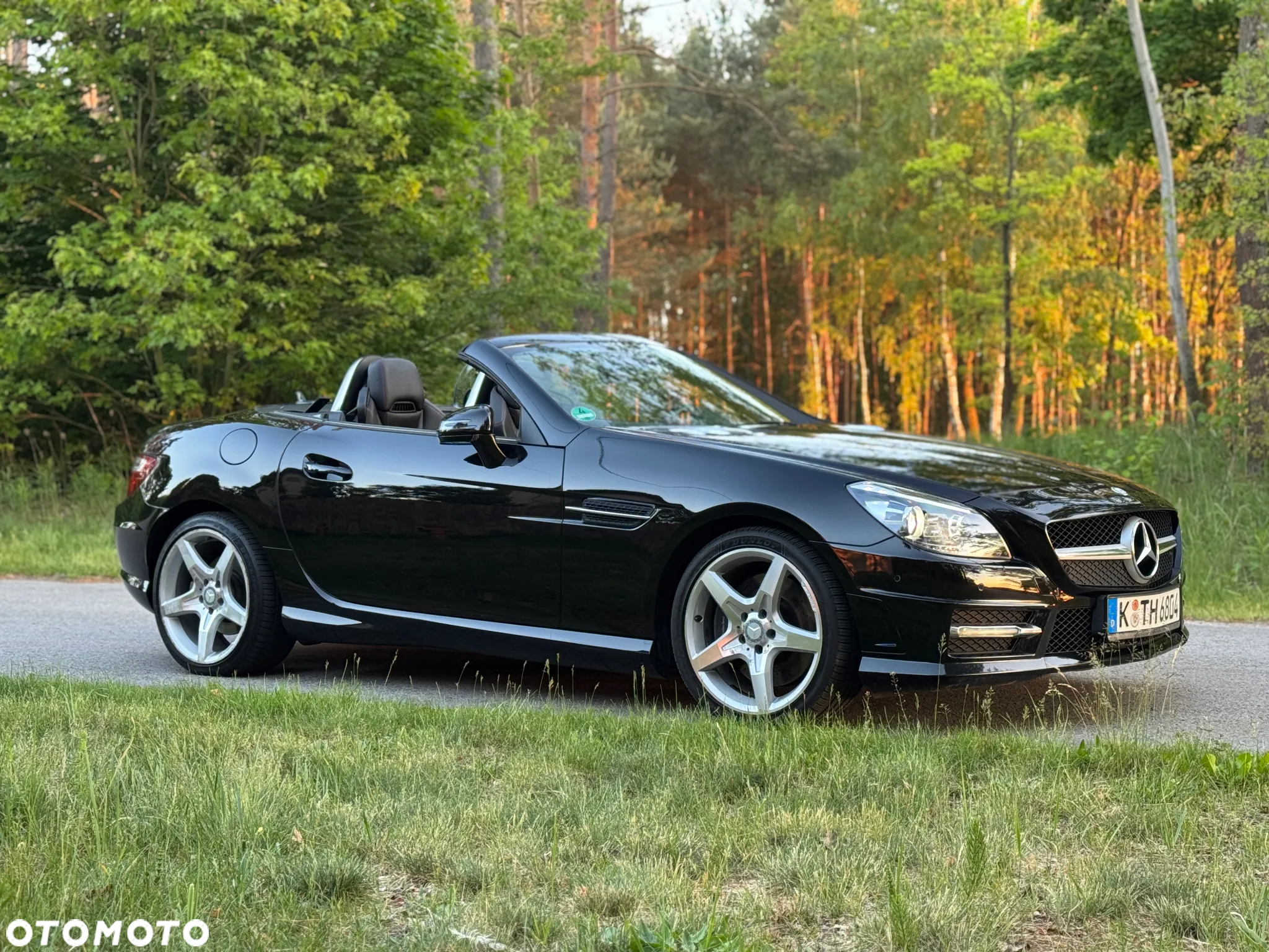 Mercedes-Benz SLK 200 BlueEFFICIENCY Edition 1 - 14