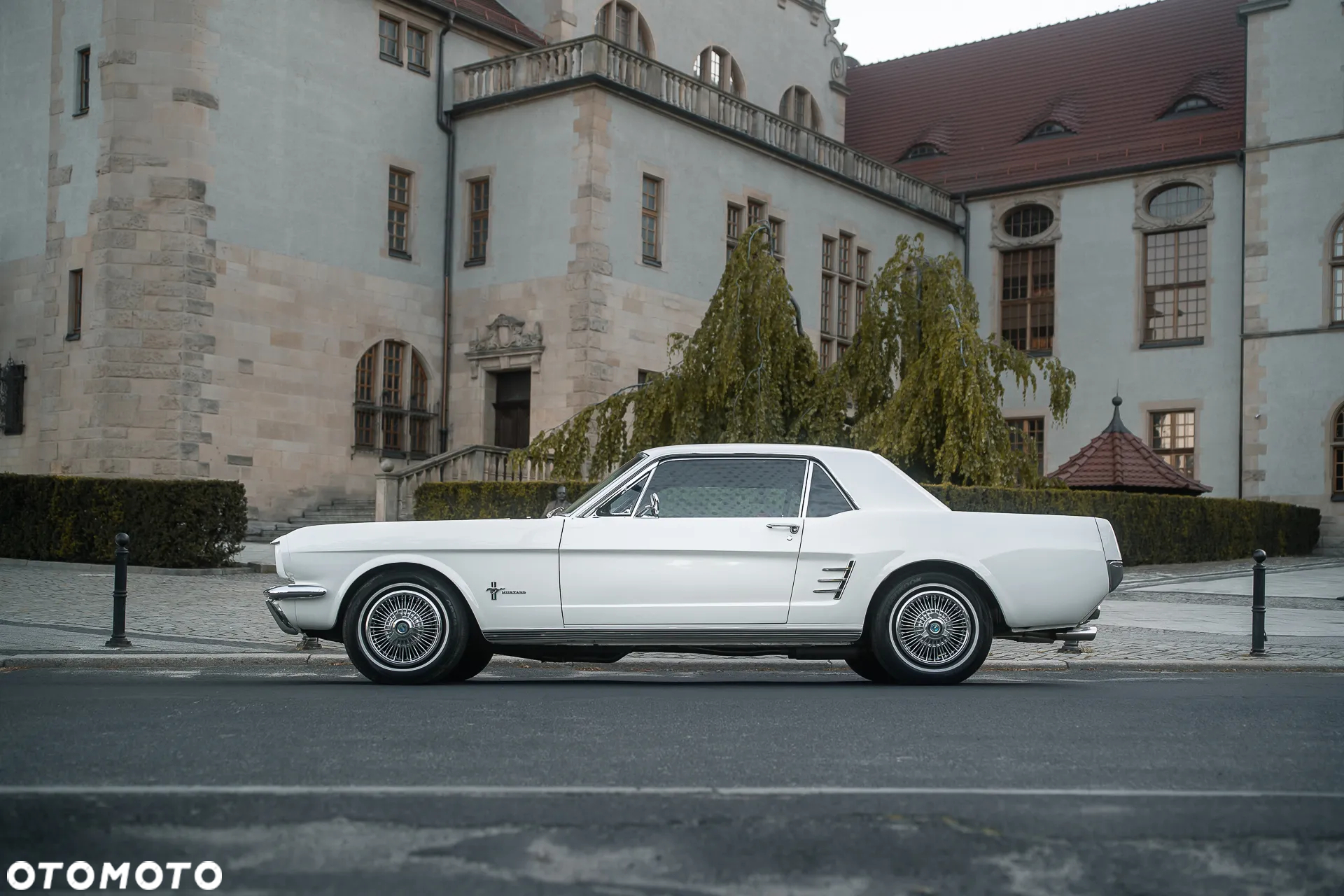 Ford Mustang - 39