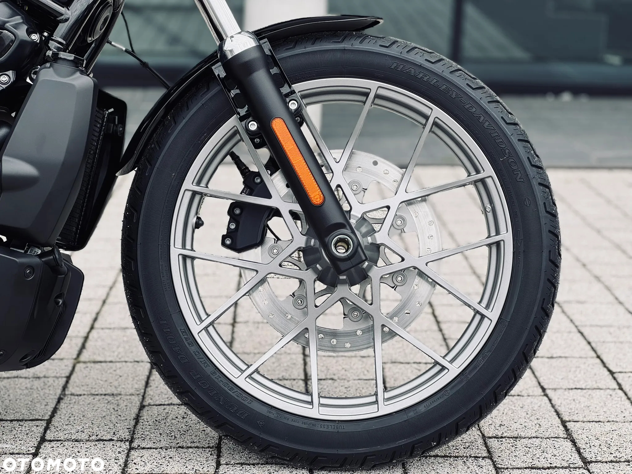 Harley-Davidson Sportster Nightster 975 - 5