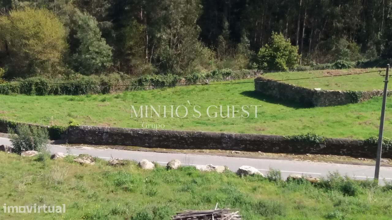 Terreno c/ 9000m2 para projeto Particular e/ou Comercial - Caminha - Grande imagem: 4/9