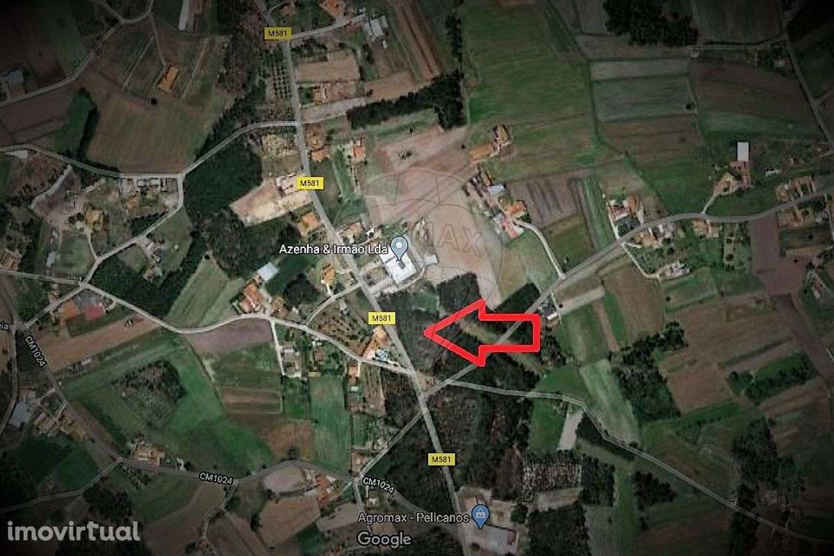 Terreno  para Venda - Grande imagem: 5/7