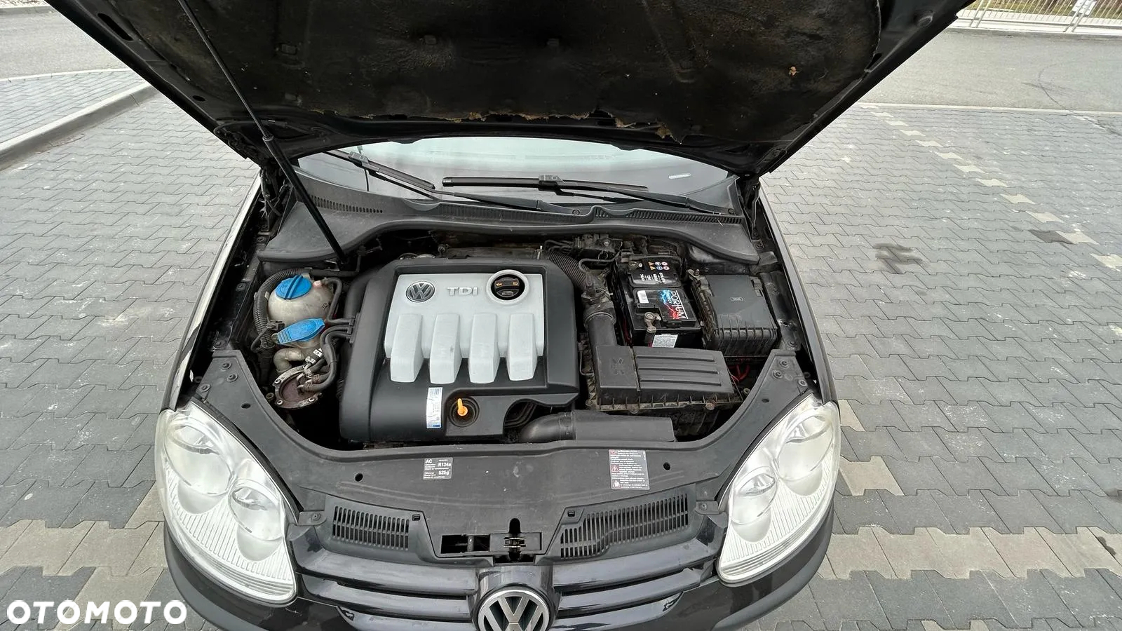 Volkswagen Golf V 1.9 TDI Trendline - 3