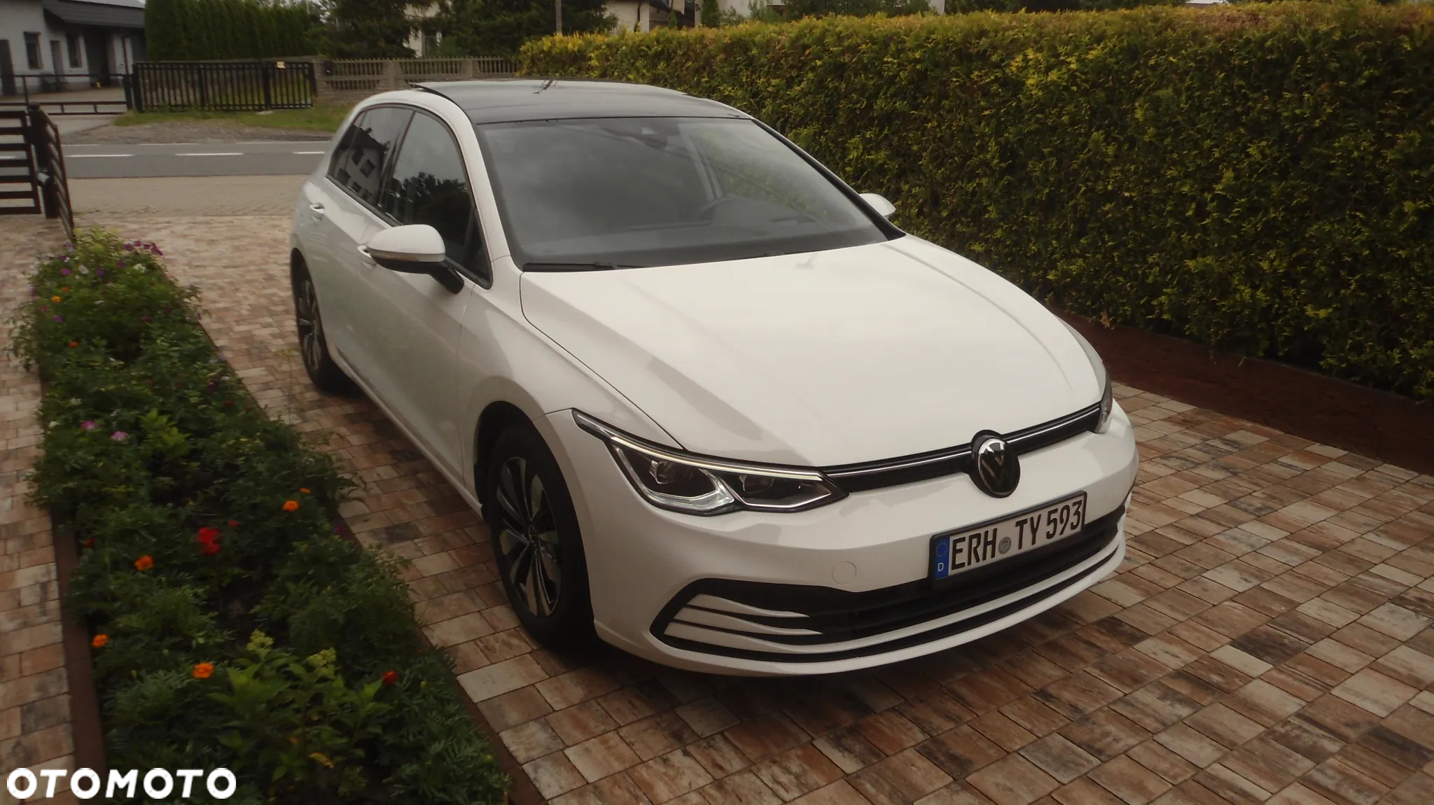 Volkswagen Golf - 8