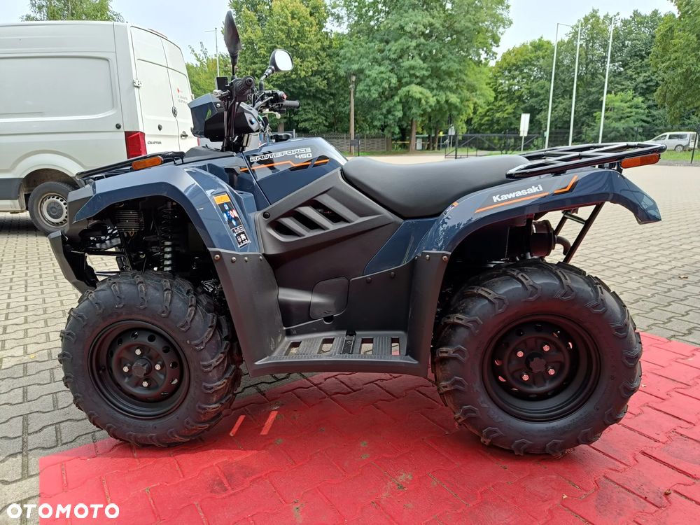Kawasaki Brute Force - 6