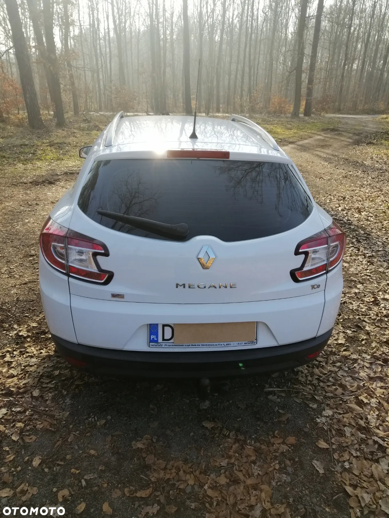Renault Megane 1.4 16V TCE Bose Edition - 2