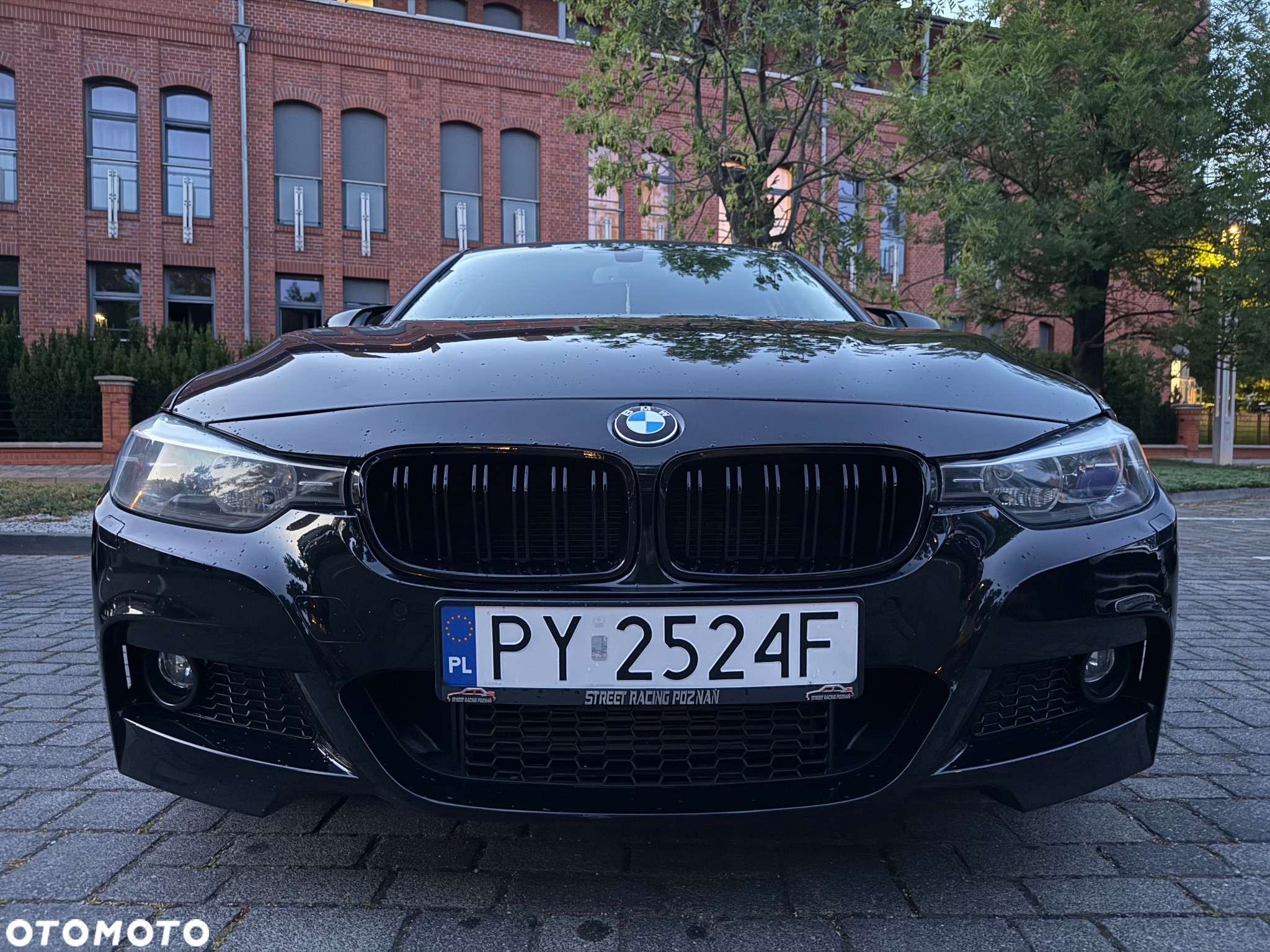 BMW Seria 3 - 14