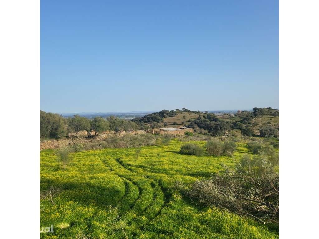 Quinta com ruina, em Monsaraz - Grande imagem: 5/29