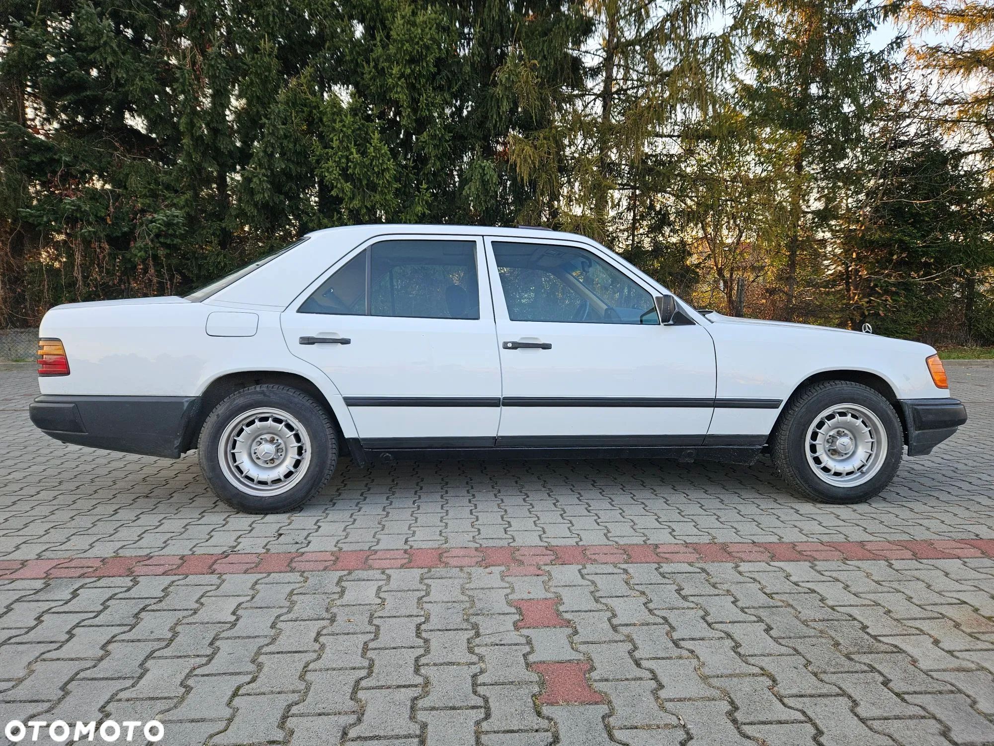 Mercedes-Benz W124 (1984-1993) - 2