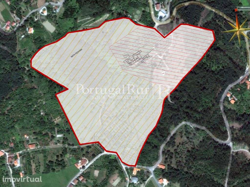 Antigo solar e quinta na encosta do Caramulo - Grande imagem: 3/24