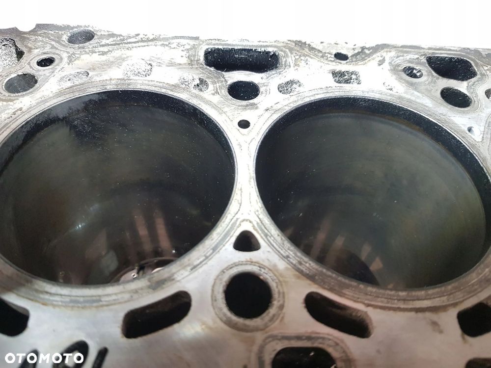 BLOK SILNIKA BMW E90 E87 E91 X3 2.0 D N47D20C - 7