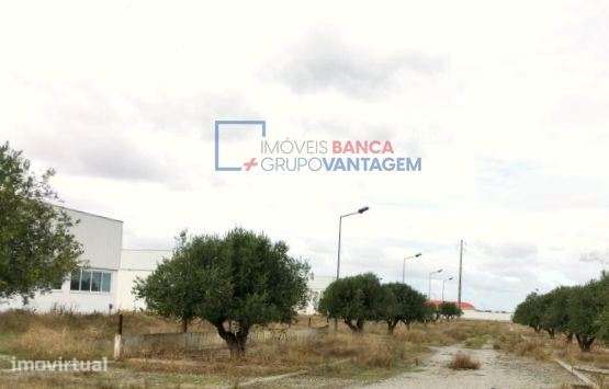 Parque industrial/logistico com 109.500m², 3 armazéns e moradia de ... - Grande imagem: 4/22