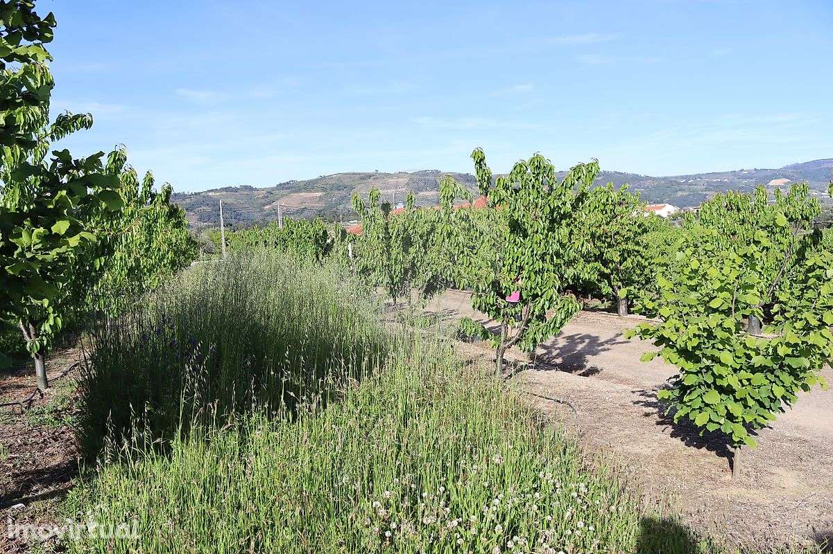 Terreno  para venda - Grande imagem: 5/8