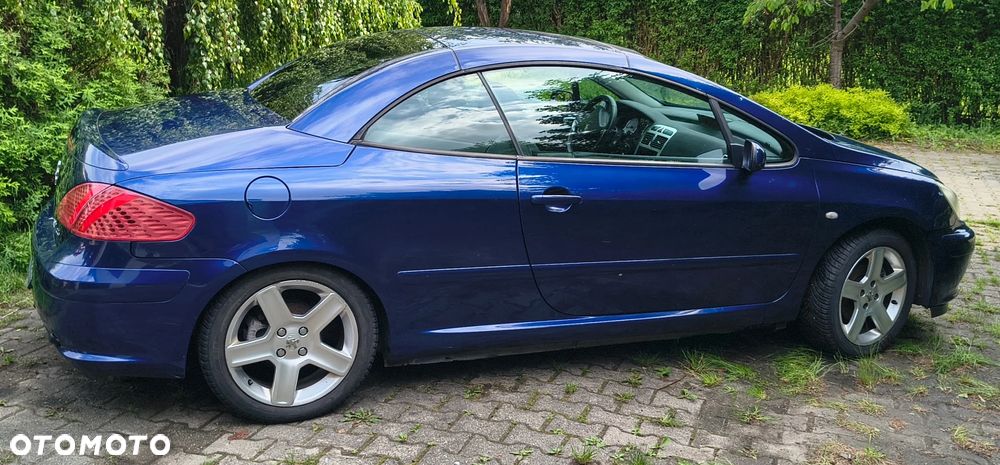 Peugeot 307 CC 2.0 - 13