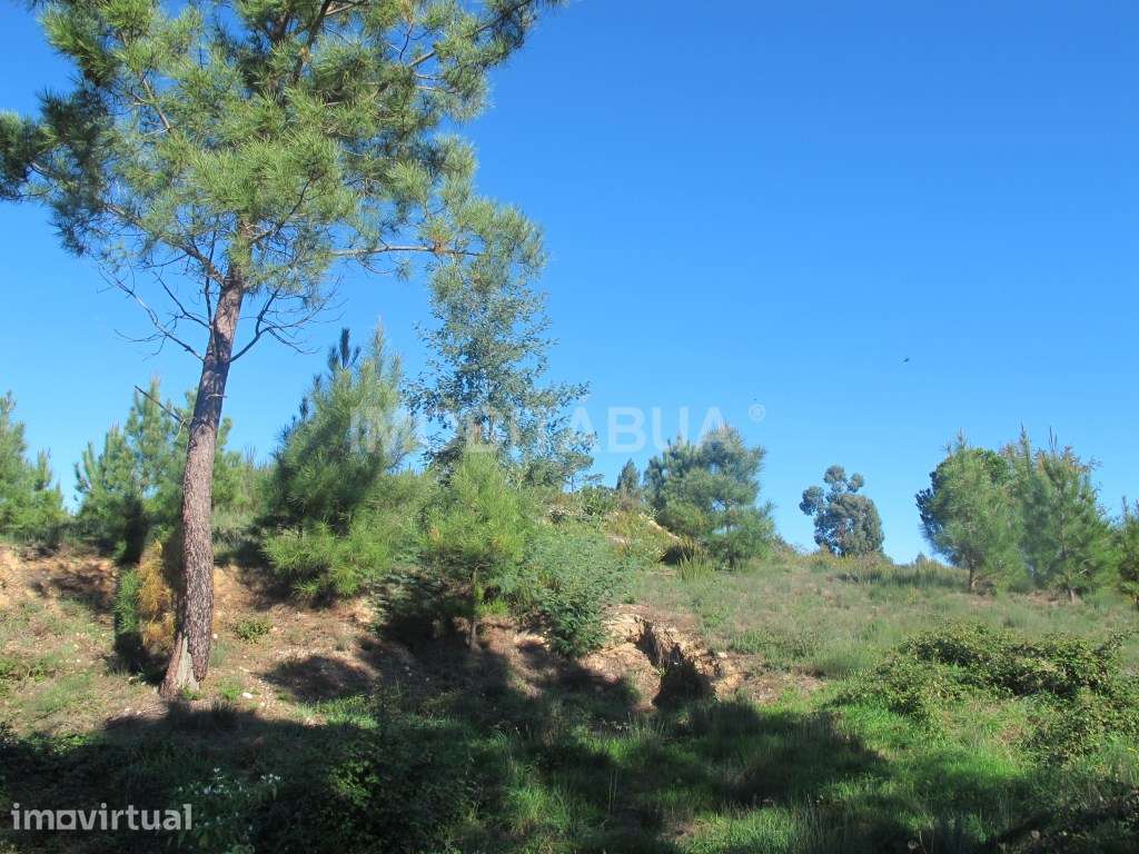 Pouco mais de um hectare de terreno com belas vistas para a montanh... - Grande imagem: 3/6