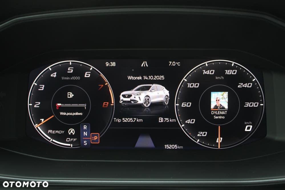 Cupra Formentor - 15