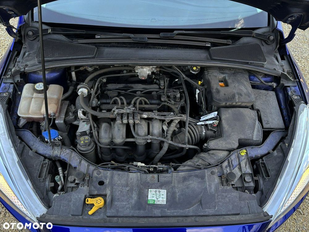 Ford Focus - 9